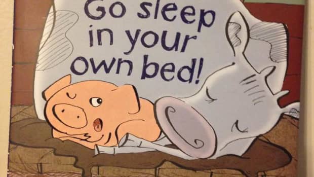 candace-flemings-go-sleep-in-your-own-bed-is-a-hilarious-read-aloud-for-children-learning-to-stay-in-their-own-bed
