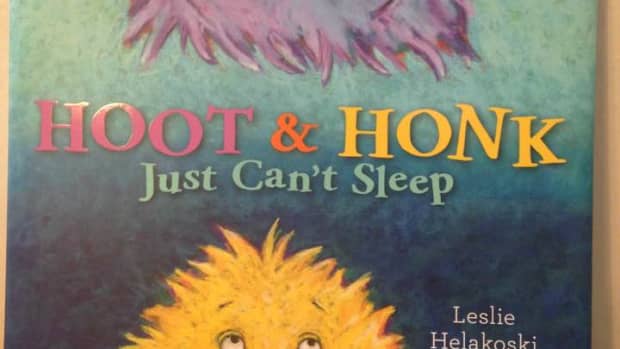 hoot-and-honk-just-cant-sleep-is-the-perfect-bedtime-story-for-little-ones-to-fall-asleep-in-their-own-beds