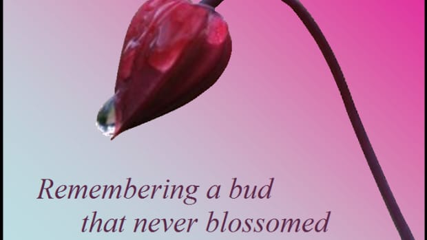 a-bud-that-never-blossomed