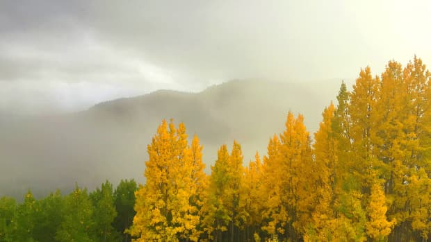fall-in-the-wasatch-mountains-utah
