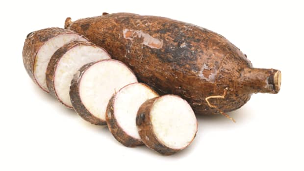 cassava-fertility-and-twins