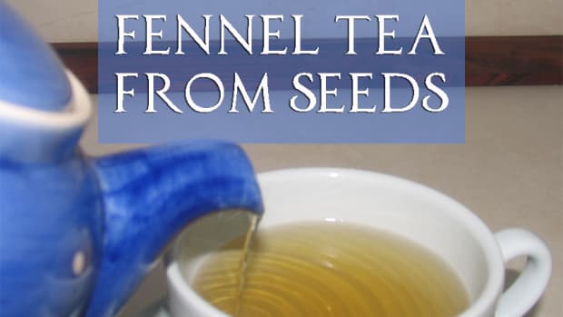 make-fennel-tea-using-seeds