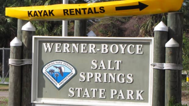 florida-kayaking-werner-boyce-salt-springs-state-park