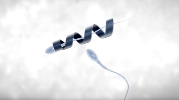 spermbots-the-future-of-in-vivo-fertilisation