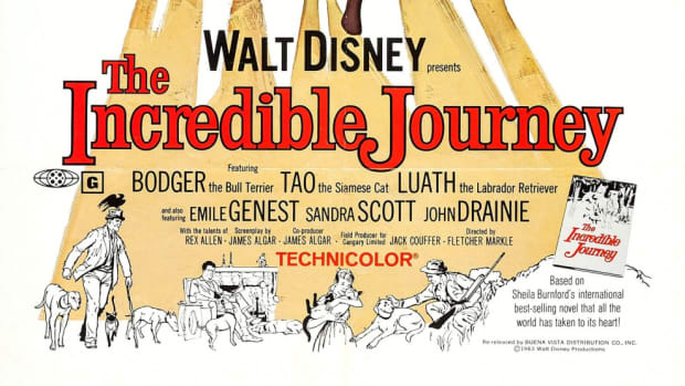 film-review-the-incredible-journey