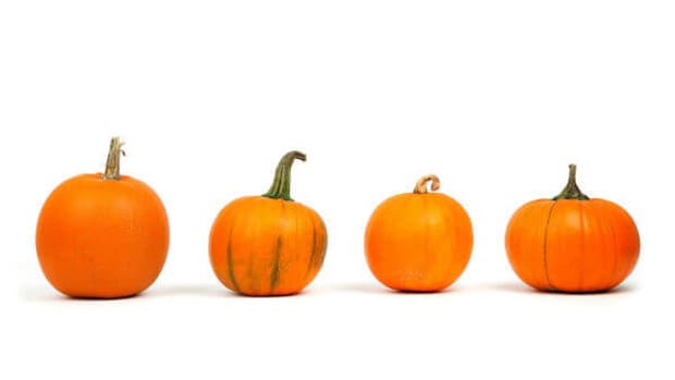 reasons-to-eat-pumpkin-no-matter-the-season