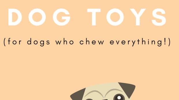 best-dog-toys-for-chewers