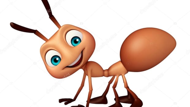 the-true-nature-of-ants