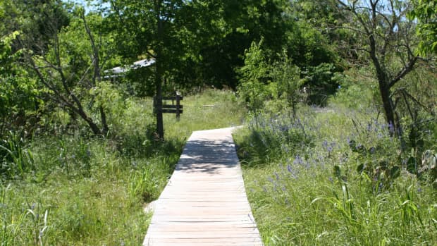 top-5-hiking-trails-in-san-marcos-texas