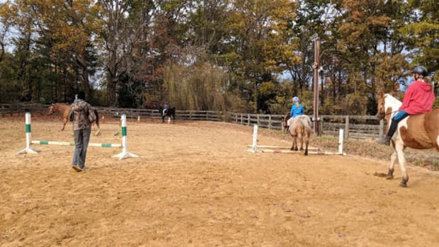 how-to-be-a-superstar-barn-parent