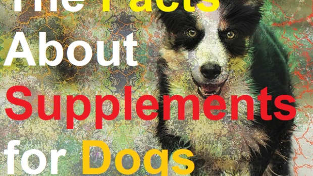 the-facts-about-vitamin-and-mineral-supplements-for-dogs