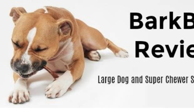 barkbox-review-classic-and-super-chewer-subscription-box