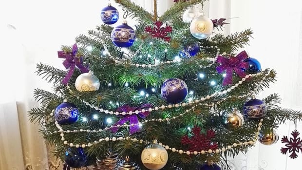 how-to-choose-and-care-for-a-living-christmas-tree