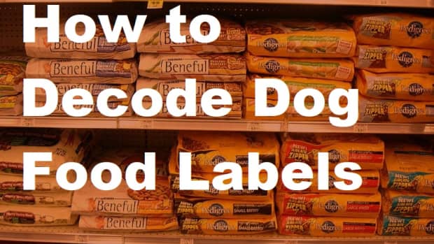 how-to-understand-dog-food-labels