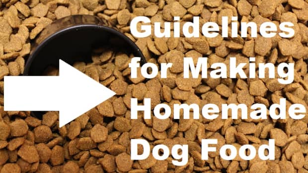 what-you-need-to-know-to-make-your-own-dog-food-from-scratch