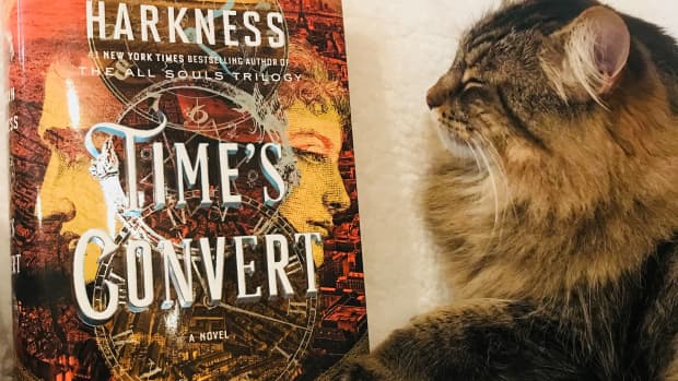 times-convert-book-review