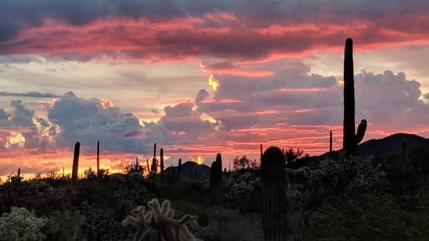sunrise-hike-in-saguaro-national-park