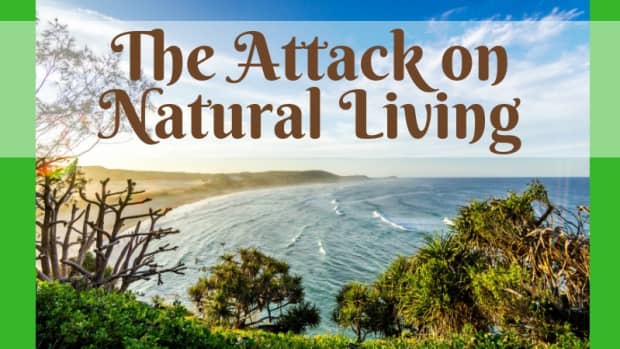 the-attack-on-natural-living