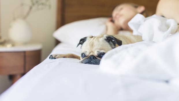 get-a-better-sleep-following-these-simple-tips