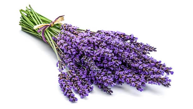 top-5-benefits-of-lavender