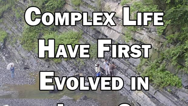 could-complex-life-have-first-evolved-in-lakes