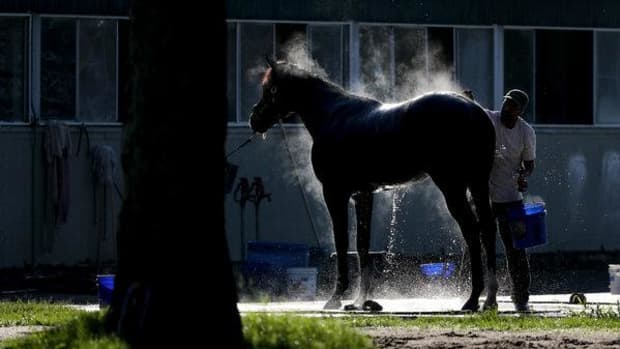 is-it-warm-enough-to-bathe-my-horse