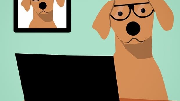 50-scientist-dog-names-for-smart-nerdy-pups