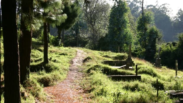 top-places-to-visit-in-ooty