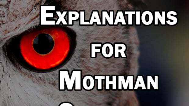 what-is-mothman-really-possible-mundane-explanations-for-mothman-sightings