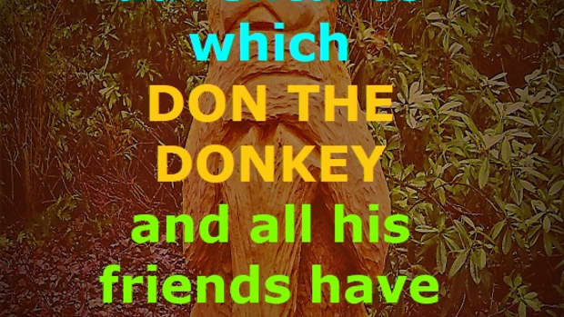 don-the-donkey