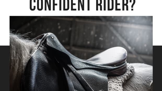 quiz-how-confident-of-a-rider-are-you