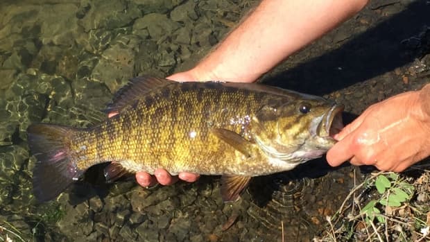smallmouth-fly-fishing-on-the-grande-ronde-river