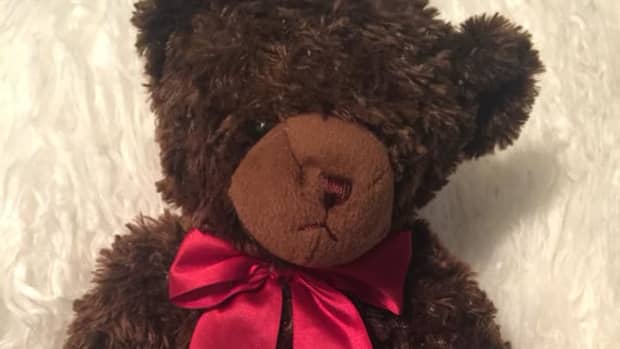 chocolate-valentine-teddy-bear-chapter-2