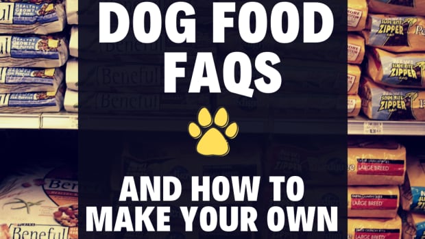 how-to-find-a-good-dog-food-or-make-your-own-dog-food