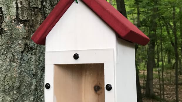 diy-spy-nest-box-how-to-make-a-hanging-window-birdhouse-for-viewing-nesting-birds