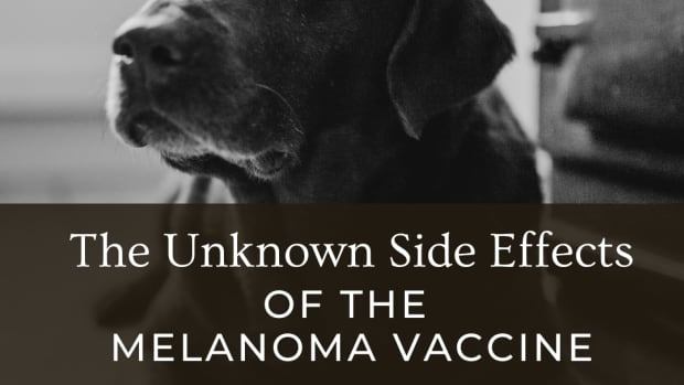 dog-owners-beware-side-effects-of-the-melanoma-vaccine