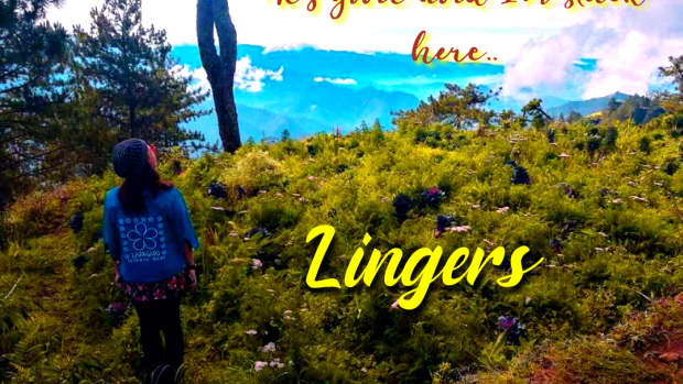 lingers