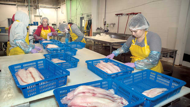 top-alaska-seafood-processing-companies-hiring-for-summer