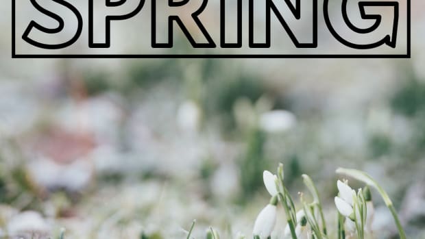 spring-idioms-and-adages