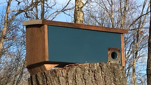 barnwood-birdhouse-plans-how-to-build-a-winter-roosting-box-for-the-birds