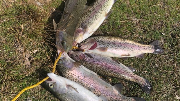 the-secret-to-catching-springtime-trout