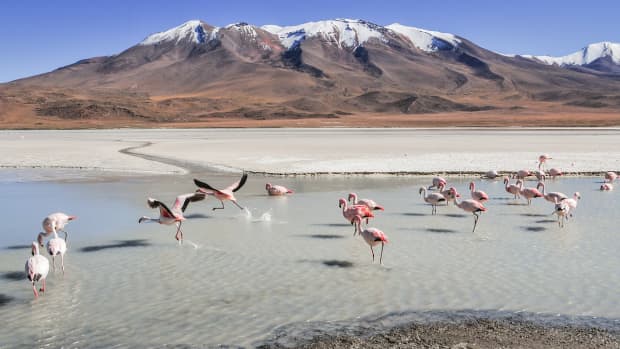 5-unexpected-things-you-can-do-in-bolivia