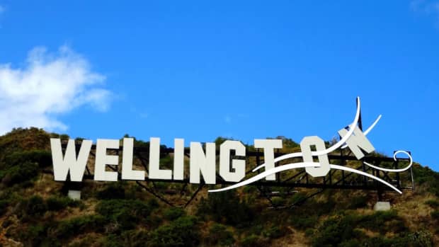 5-captivating-places-to-visit-in-wellington