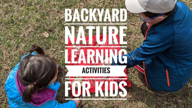 backyard-nature-learning-activities-for-kids