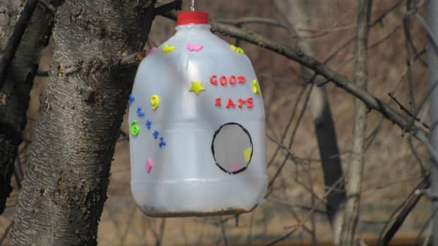 how-to-make-a-simple-bird-feeder-with-a-recycled-milk-container-great-craft-for-kidsrecycle