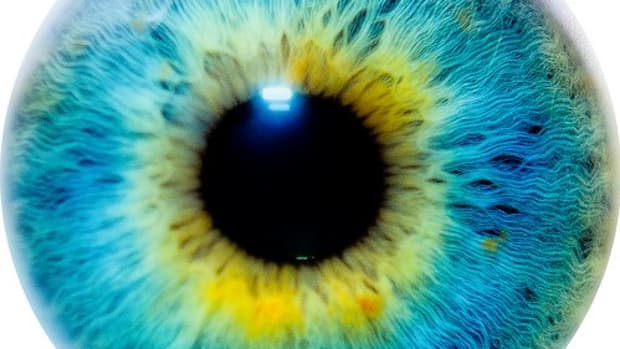 does-eye-color-indicate-intelligence-and-personality-traits