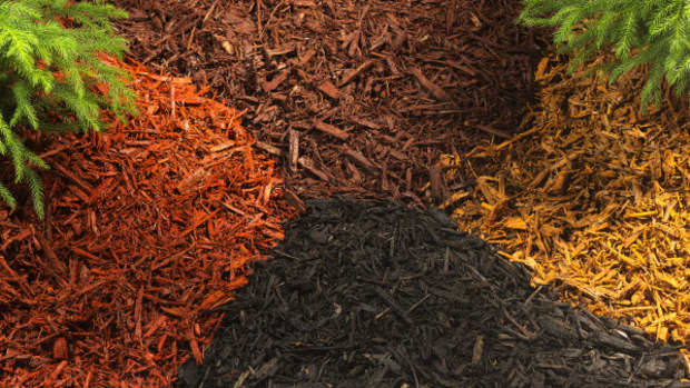 which-type-of-mulch-should-you-use