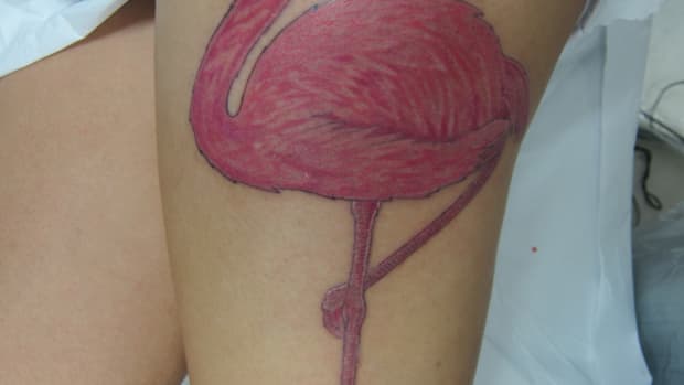 flamingo-tattoos-and-meanings