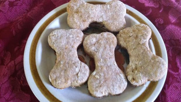 Easy Peanut Butter Pupsicle Frozen Dog Treats - Jen Elizabeth's Journals