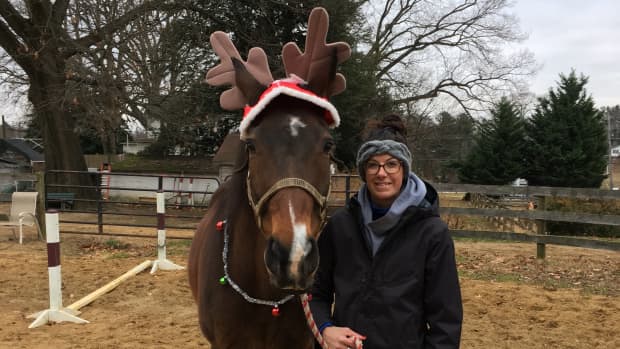 holiday-photos-with-your-horse